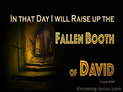 Amos 9:11 In That Day I will Raise Up David's Fallen Booth (yellow)